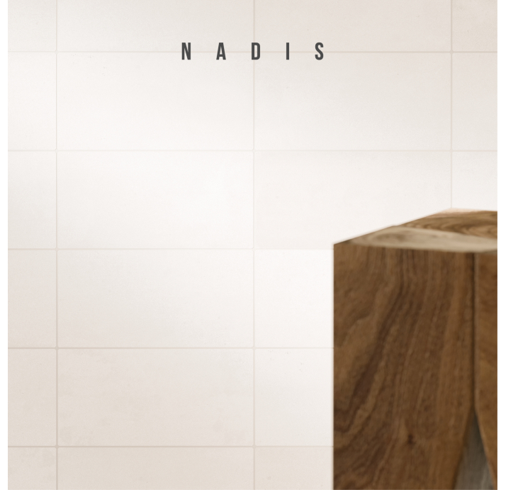 Цементая плитка GINZA WHITE 10X20X13 Поверхность: Матовая (NCR02951)