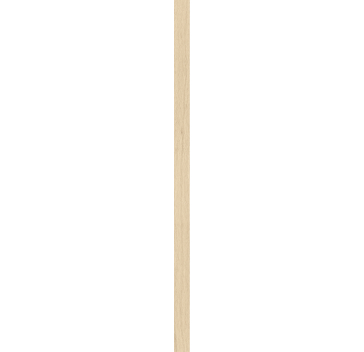 Керамогранит PERPETUAL WARM 5X120X10 Поверхность: Матовая (NCR03298)