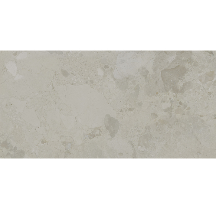 Керамогранит EDGE BONE 60X120X9 Поверхность: Матовая (NCR03457)