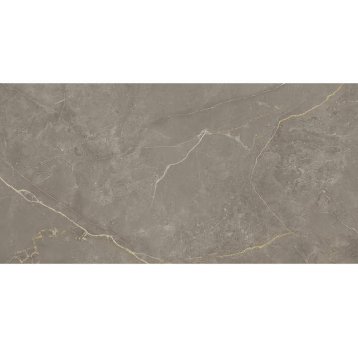 Керамогранит MESSA GREIGE 60X120X9 Поверхность: Матовая (NCR03682)