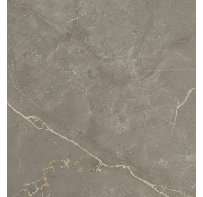 Керамогранит MESSA GREIGE 100X100X9 Поверхность: Матовая (NCR03676)