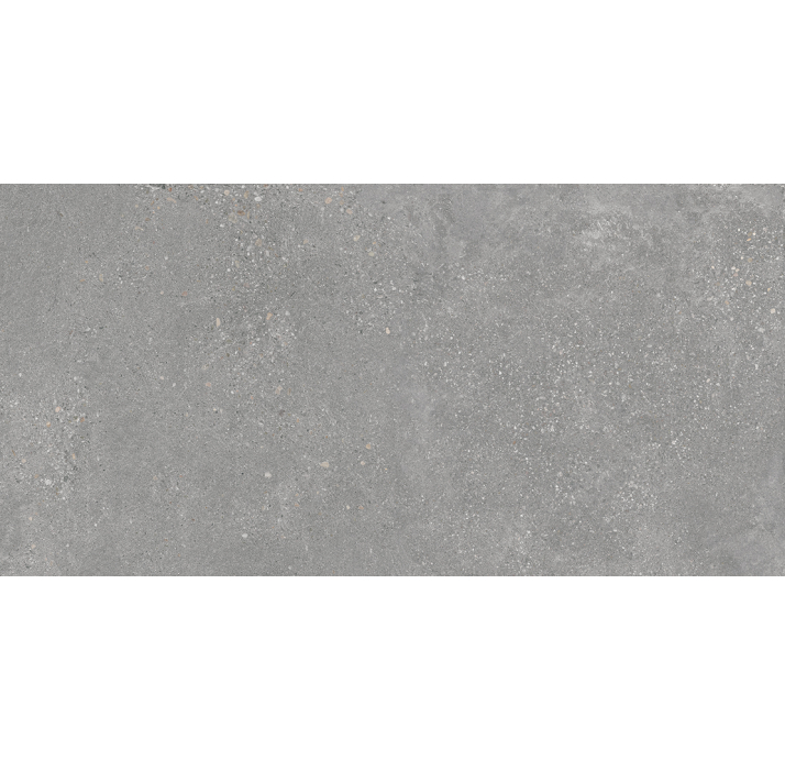 Керамогранит MEMORY GRIS 60X120X9 Поверхность: Матовая (NCR03821)