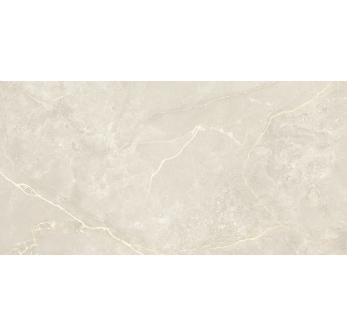 Керамогранит MESSA BONE 120X280X6 Поверхность: Матовая (NCR03686)