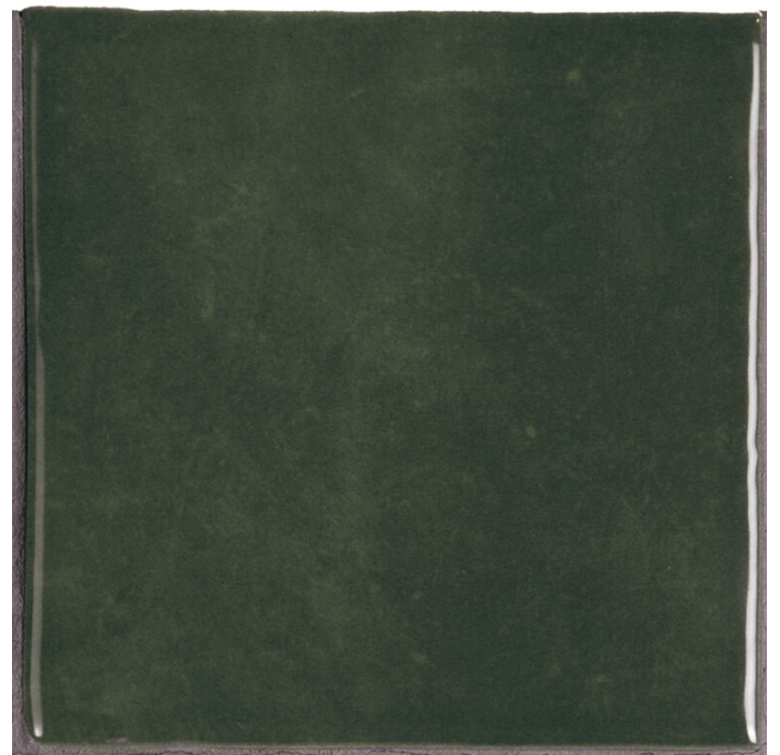 Керамогранит MEKNES FOREST 10X10X10 Поверхность: Полированная (NCR05876)