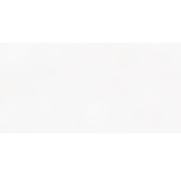 Керамическая плитка BLANCO WHITE 120X280X6 Поверхность: Матовая (NCR04445)