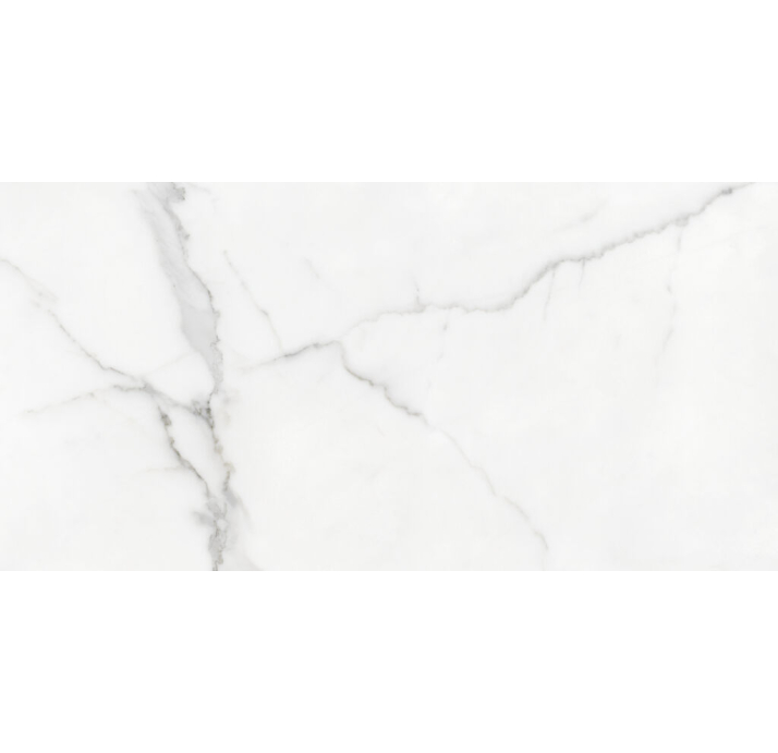 Керамическая плитка ANIMA WHITE 30X60X8 Поверхность: Полированная (NCR04279)