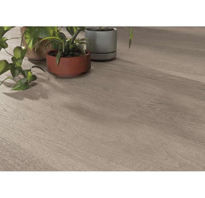 Керамическая плитка HEARTWOOD OAK 20X120X9 Поверхность: Матовая (NCR05412)