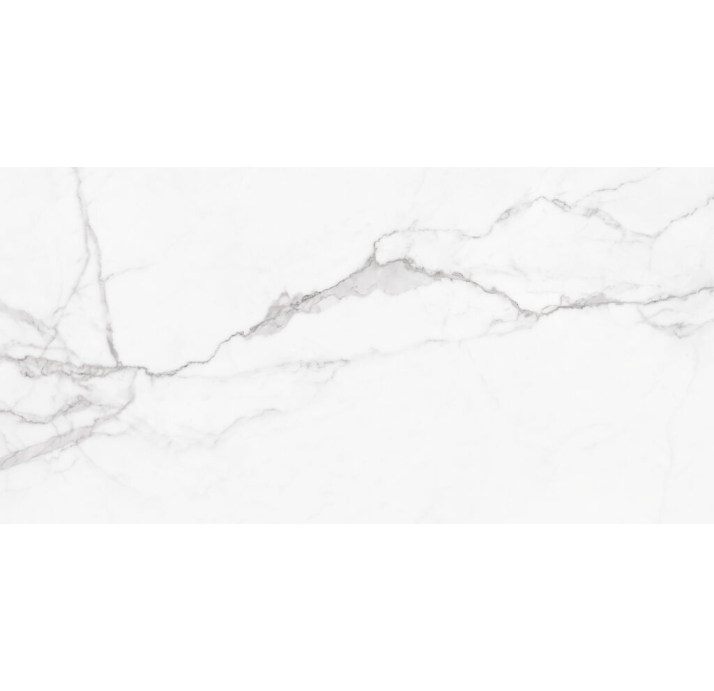 Керамическая плитка ANIMA WHITE 60X120X9 Поверхность: Матовая (NCR04284)