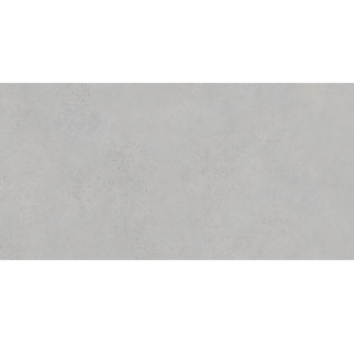 Керамическая плитка EVER PEARL 60X120X9 Поверхность: Матовая (NCR05113)