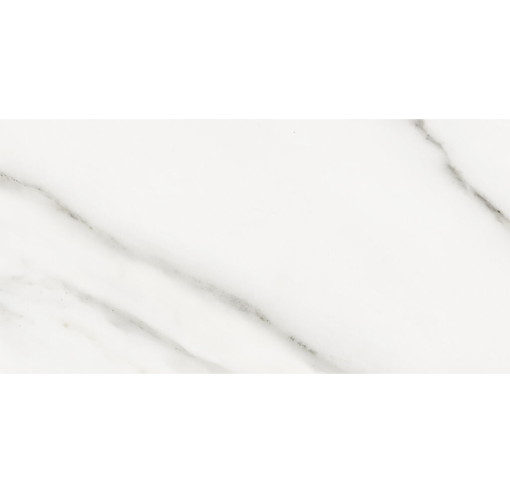 Керамическая плитка DUCALE <> 30X60X9,5 Поверхность: Полированная (NCR05024)