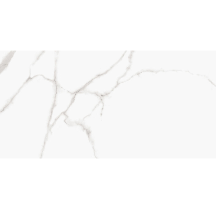 Керамическая плитка BIANCO CARRARA 60X120X10,5 Поверхность: Полированная (NCR04442)