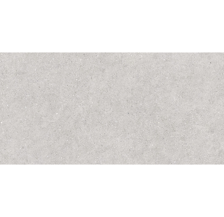 Керамическая плитка GRANITE GREY 60X120X9 Поверхность: Матовая (NCR05320)