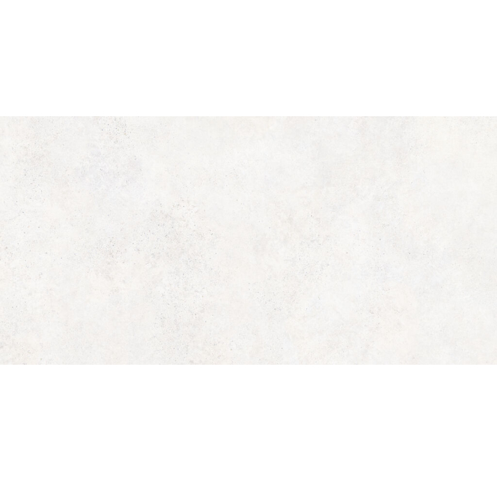 Керамическая плитка EVER WHITE 60X120X9 Поверхность: Матовая (NCR05104)