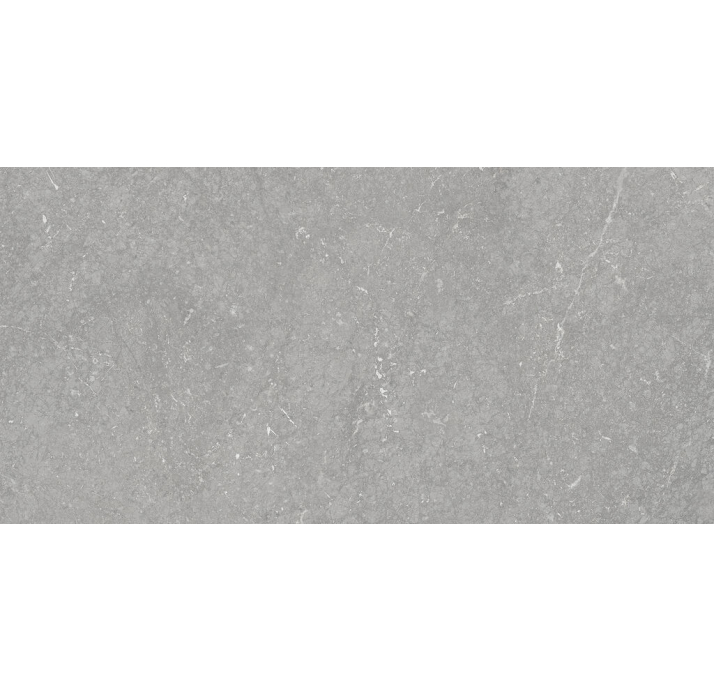 Керамическая плитка MUNICH PEARL 25X50X7,2 Поверхность: Матовая (NCR06109)