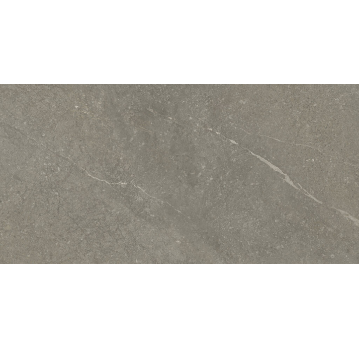 Керамическая плитка MUNICH TAUPE 25X50X7,2 Поверхность: Матовая (NCR06110)