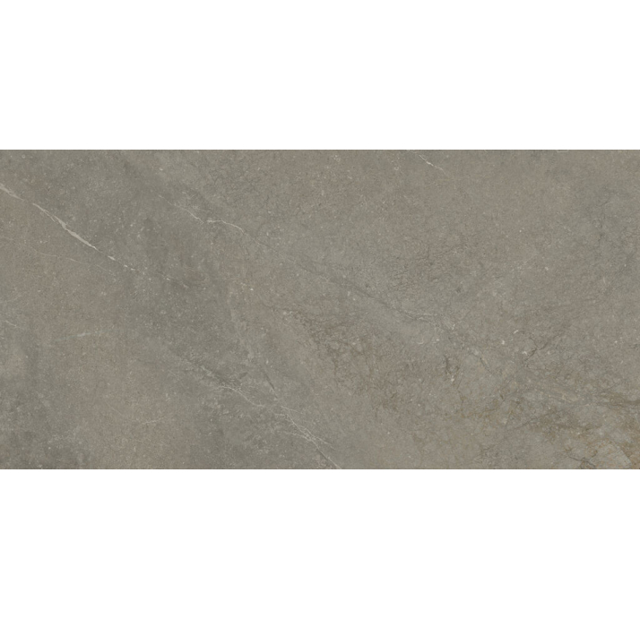Керамическая плитка MUNICH TAUPE 60X120X9 Поверхность: Матовая (NCR06081)