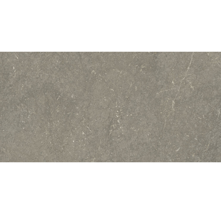 Керамическая плитка MUNICH TAUPE 30X60X7 Поверхность: Матовая (NCR06071)