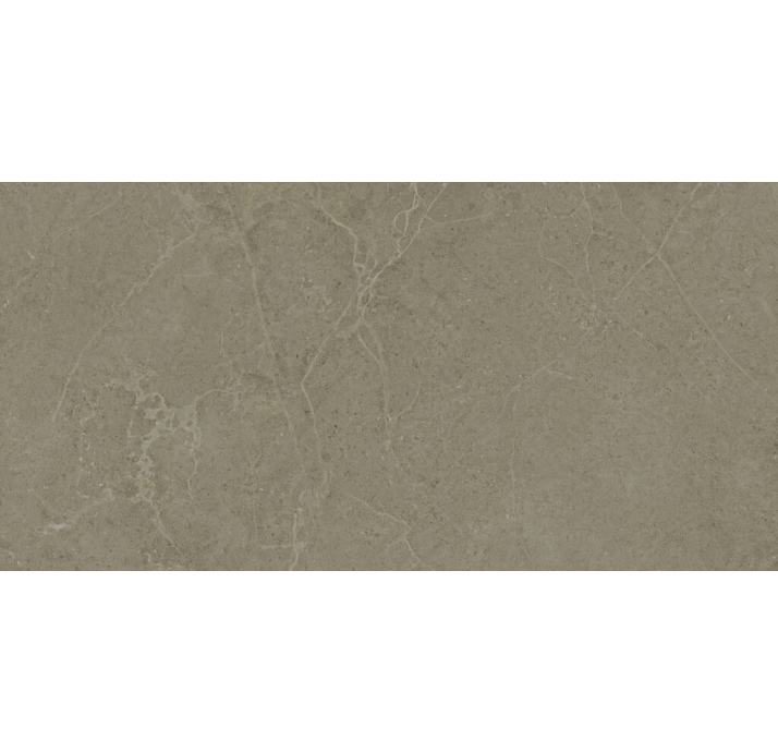 Керамическая плитка NORWICH TAUPE 60X120X9 Поверхность: Матовая (NCR06490)
