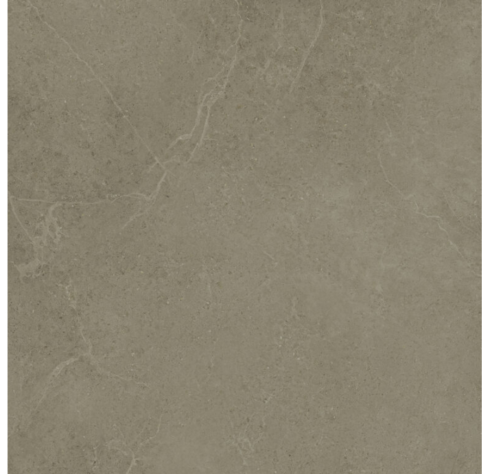 Керамическая плитка NORWICH TAUPE 60X60X9 Поверхность: Матовая (NCR06443)