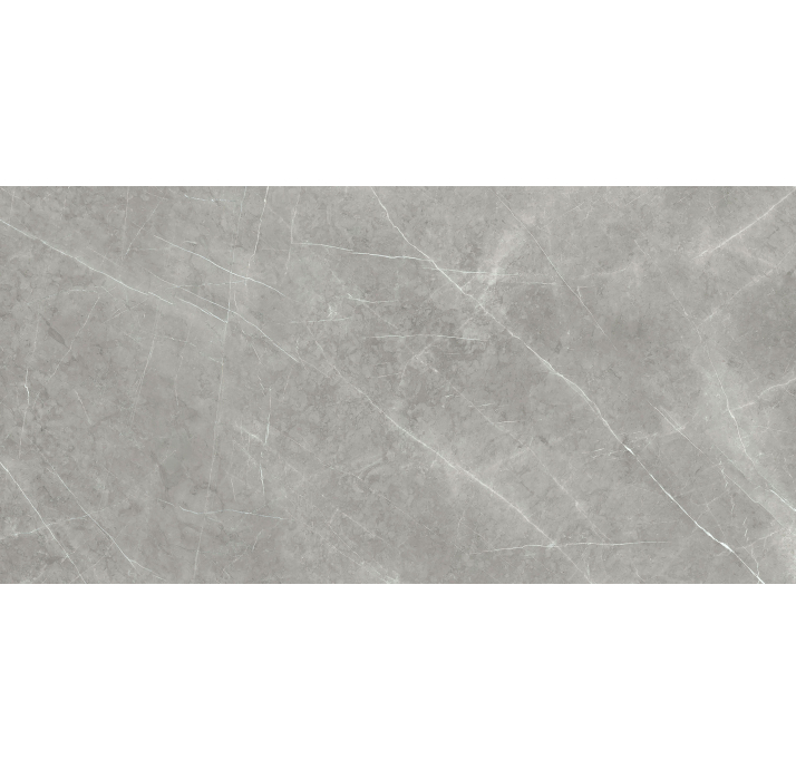 Керамогранит ARMANI SILVER 320X160X6 Поверхность: Матовая (NCR09942)