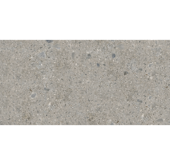 Керамогранит CEPPO DI GRE SILVER 320x160x6 поверхность: Матовая (NCR09943)